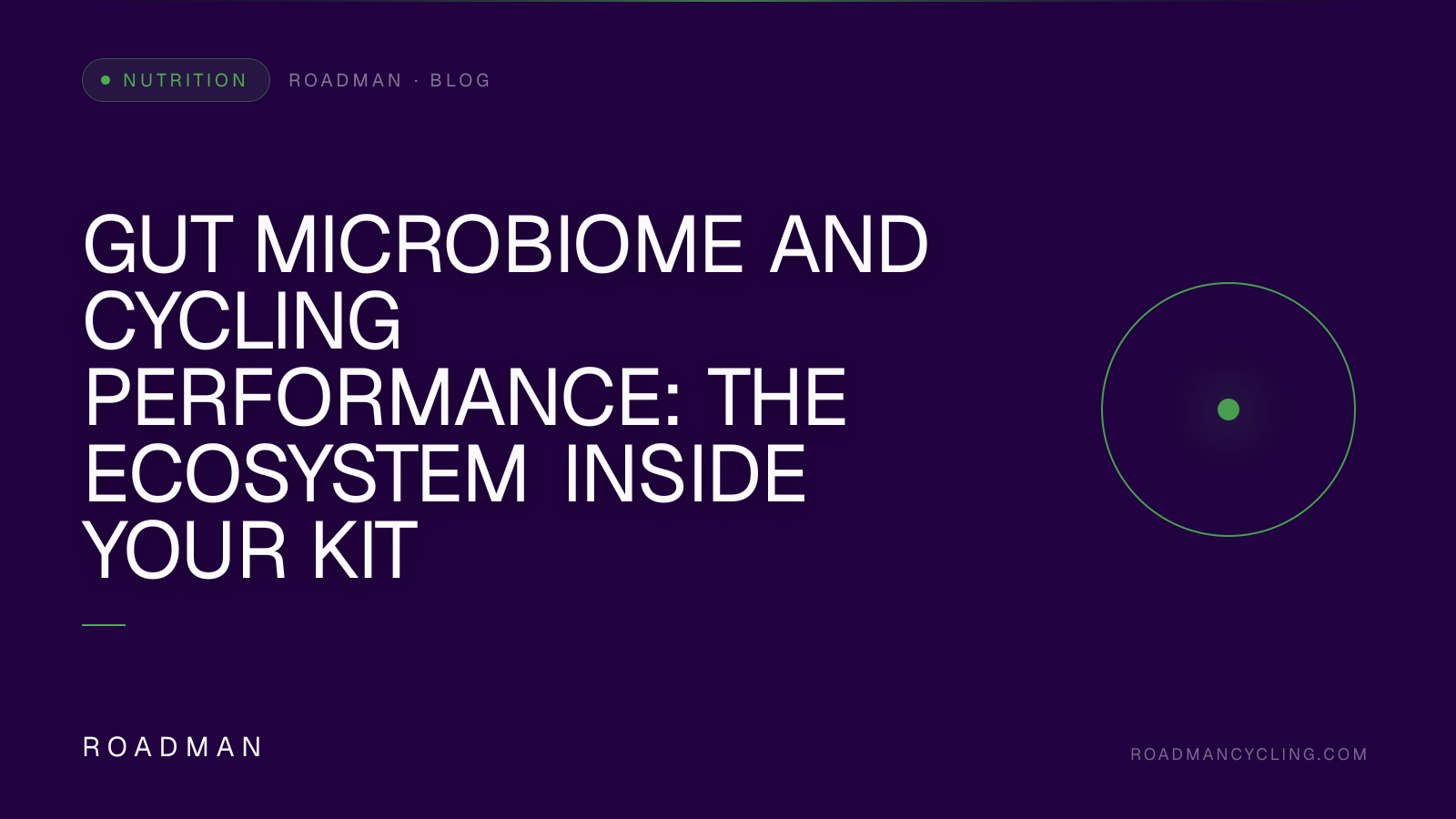 Gut Microbiome and Cycling Performance: The Ecosystem Inside Your Kit